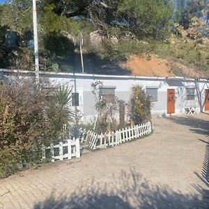 Panorama Elbasan